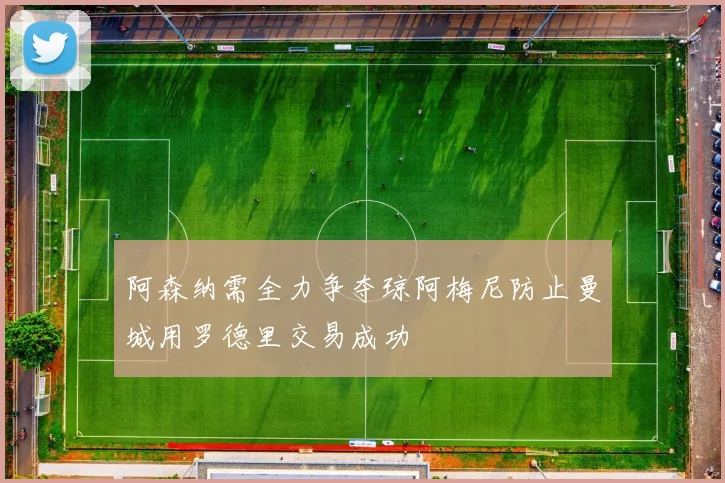 阿森纳需全力争夺琼阿梅尼防止曼城用罗德里交易成功